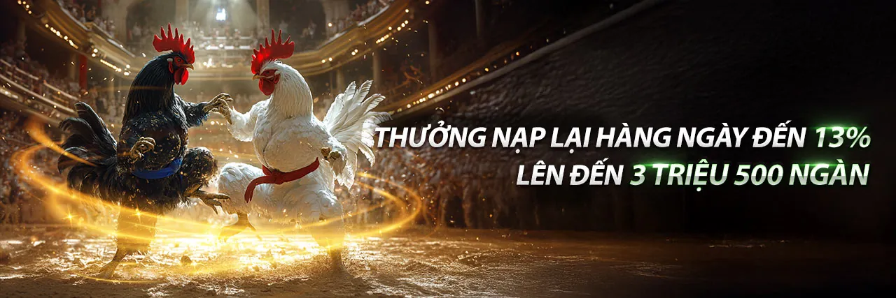 Sân vận động thể thao với các hoạt động cá cược sôi động tại 69vn20 Code